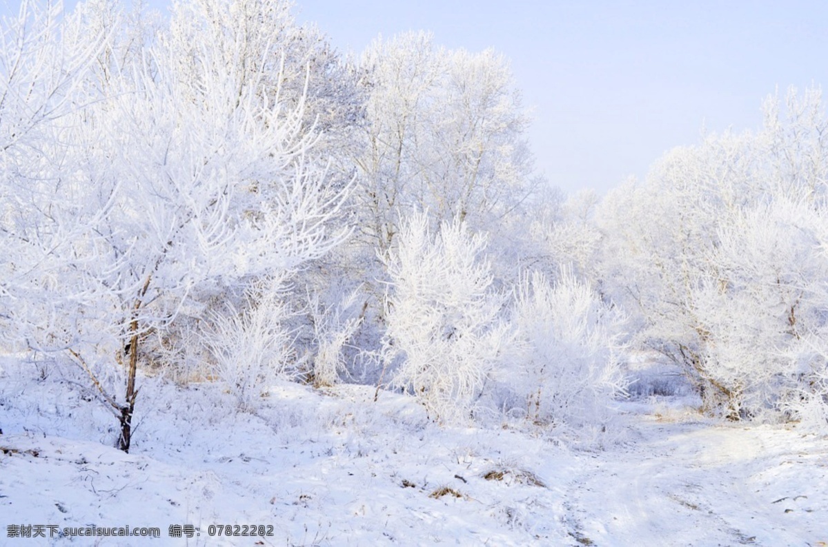 唯美 雪景 树 白色 大自然 自然风景 冬季 自然景观 自然风光