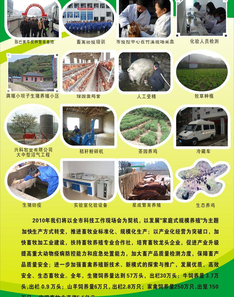 畜牧局 展板模板 畜牧局2 展览板 科技下乡 服务农村 乡党委领导 矢量 其他展板设计