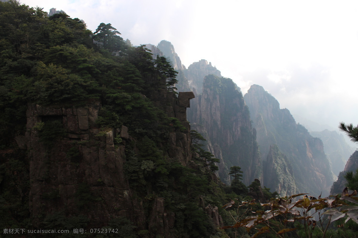 黄山风光 黄山旅游 黄山美景 黄山云海 旅游 云海 松树 高山 风景名胜 自然景观 安徽黄山 黄山秋色 黄山 安徽旅游景点 黄山景色 黄山山峰 山峰