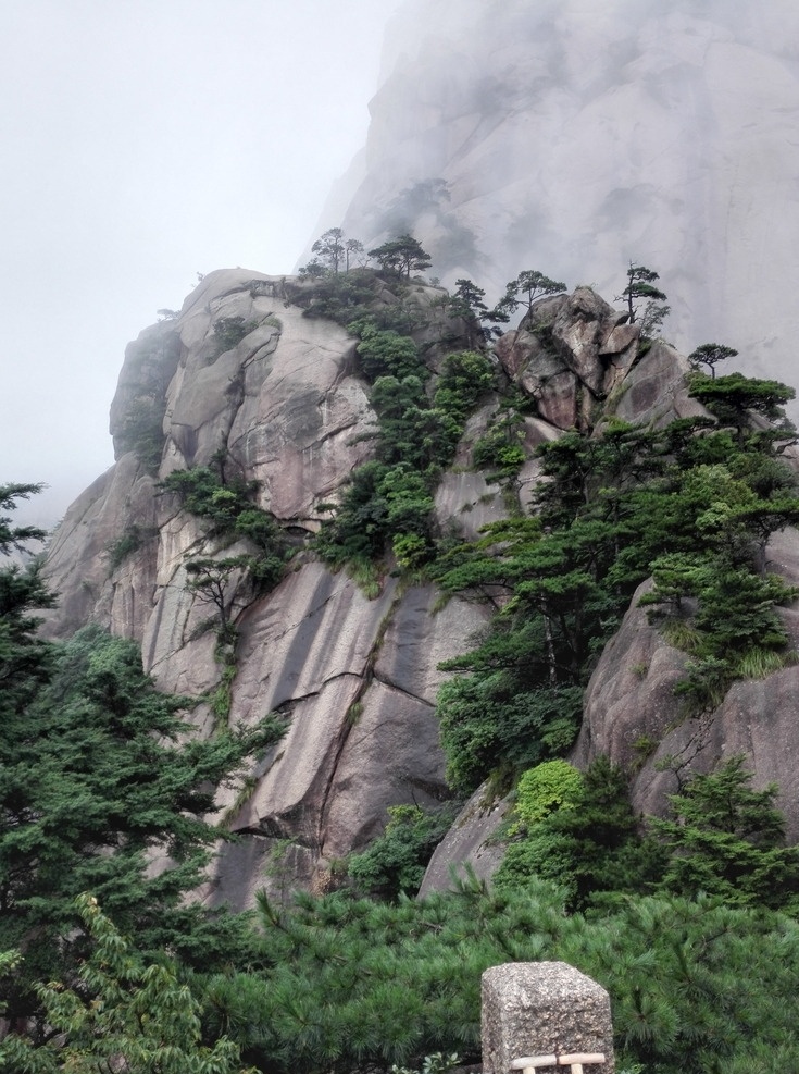 黄山 岩石 松树 美景 云雾迷蒙 风景秀丽 自然景观 山水风景