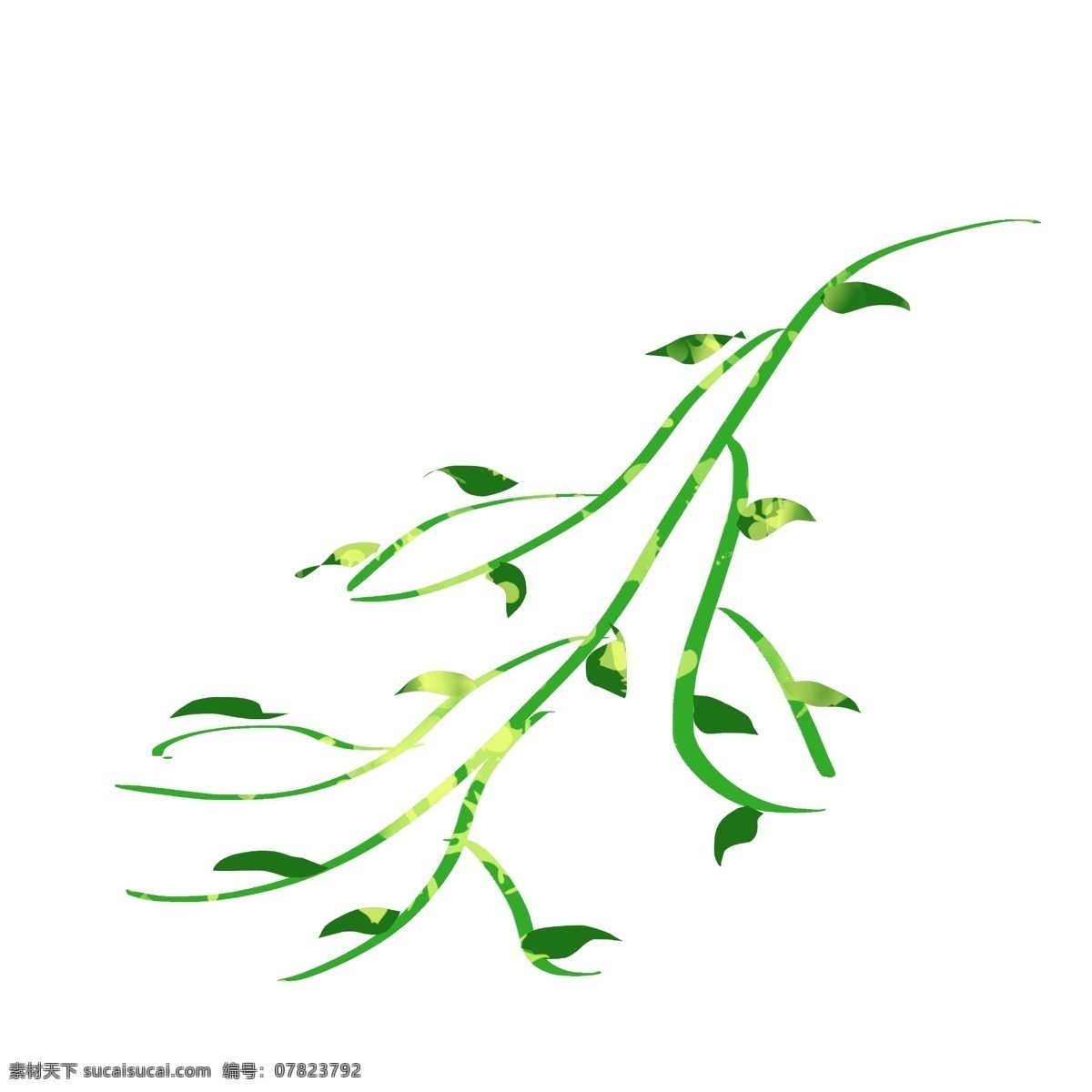 插画 风格 植物 装饰 图案 手绘 扁平 肌理 卡通 绿色 藤 曼 植物装饰图案