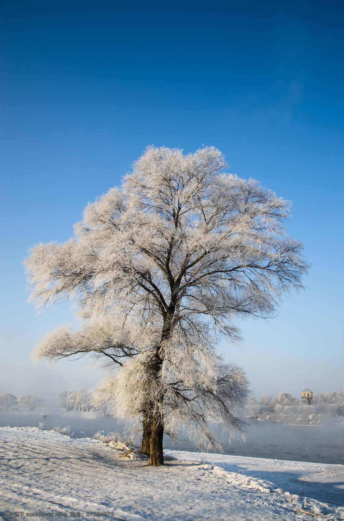 雾凇 冬季 雪 冰晶 结冰 寒冷 风景 自然景观 自然风景