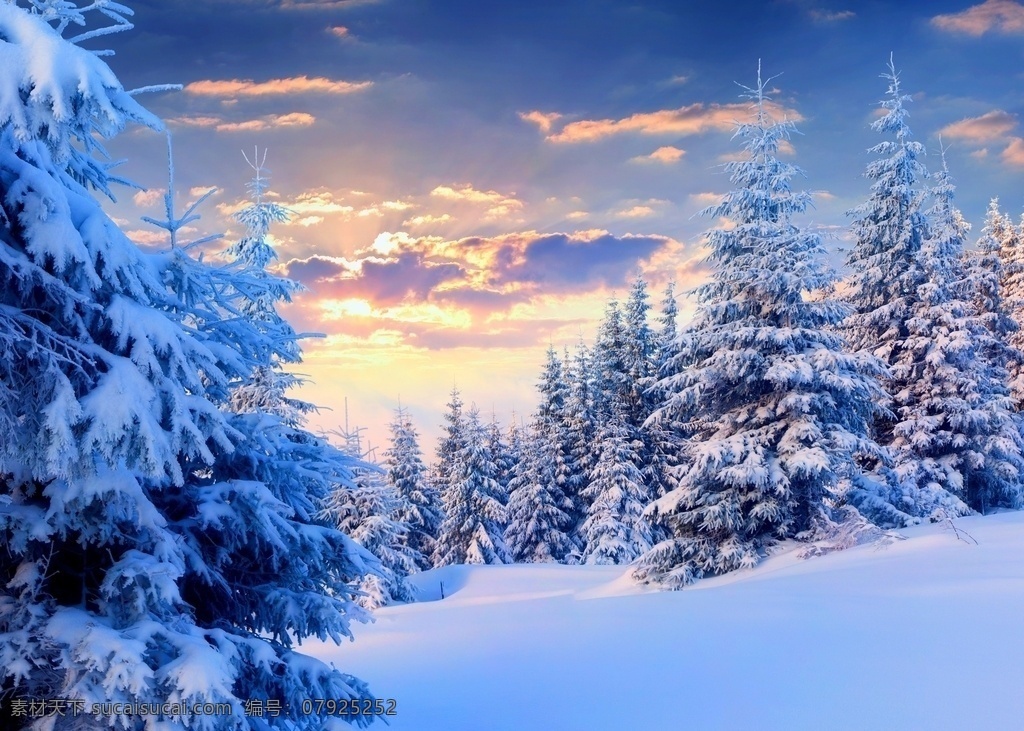 矢量 冬季 树林 雪花 背景 雪人 圣诞树 旅游摄影 自然风景