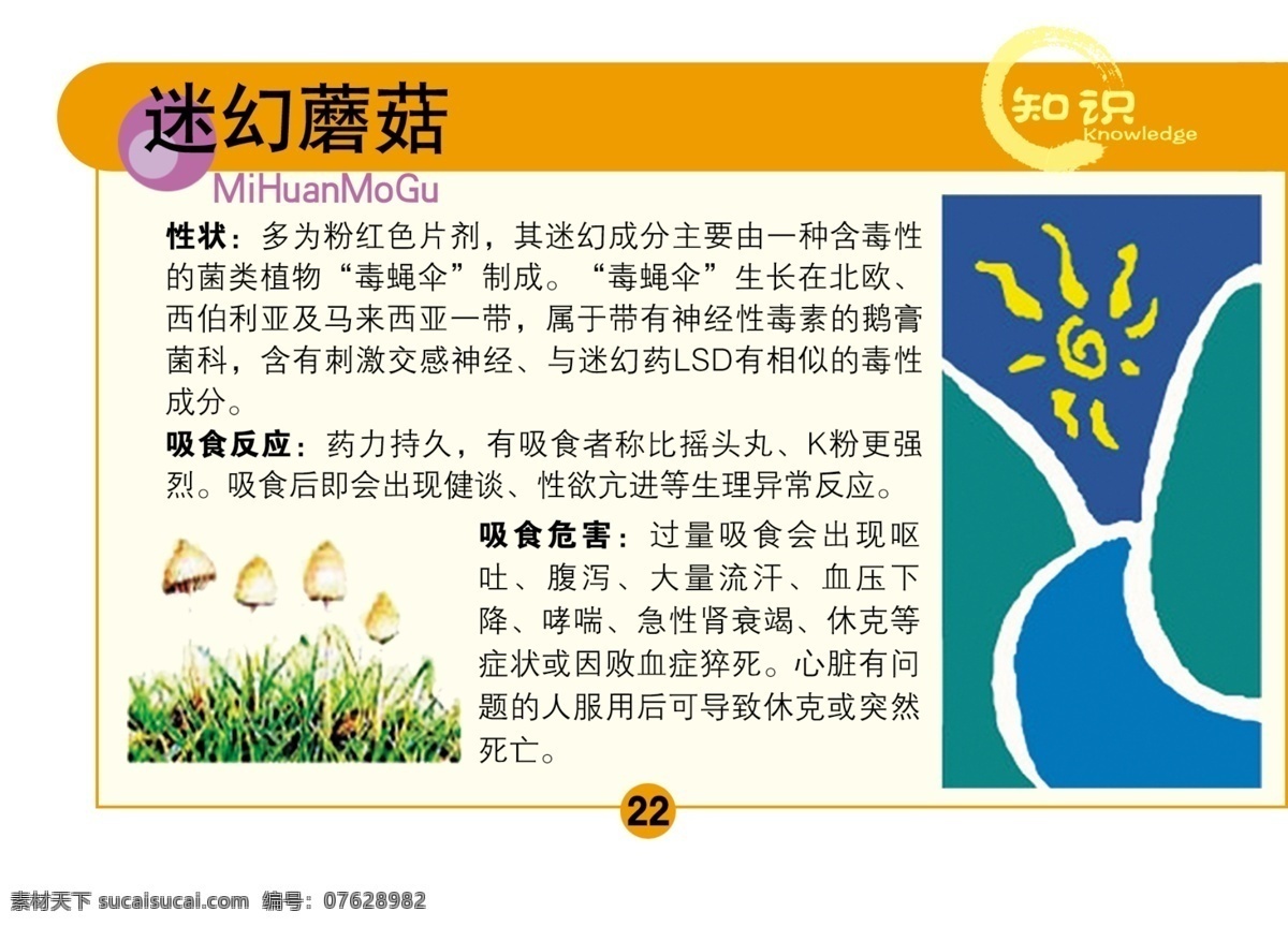 新型 毒品 防治 手册 防毒手册 新型毒品 毒瘾防治 戒毒 毒品手册 染毒 摇头丸 三唑仑 中毒 分层 源文件库
