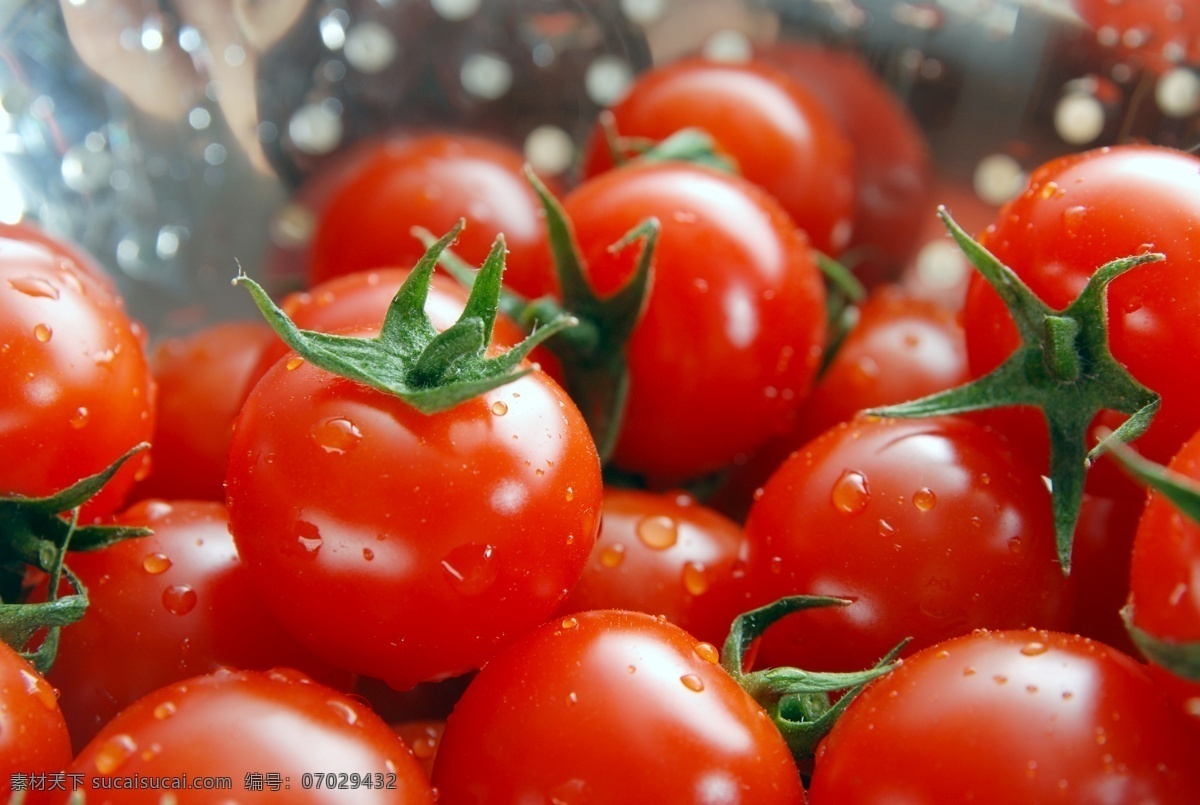 番茄 新鲜蔬果 果实 无公害蔬菜 新鲜蔬菜 蔬菜水果 红番茄 西红柿 高清蔬菜 蔬菜 生物世界