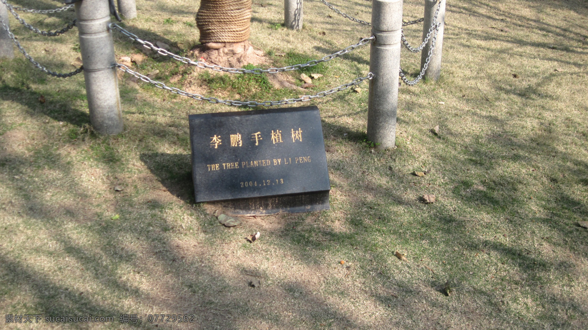 国内旅游 花卉 旅游摄影 盆景 深圳 文化艺术 艺术 李鹏手植树 国际 园林花卉 博览园 福田区 竹子林 旅游展览 中国古典园林 园林 中国文化 2004 年 月 日 家居装饰素材 展示设计