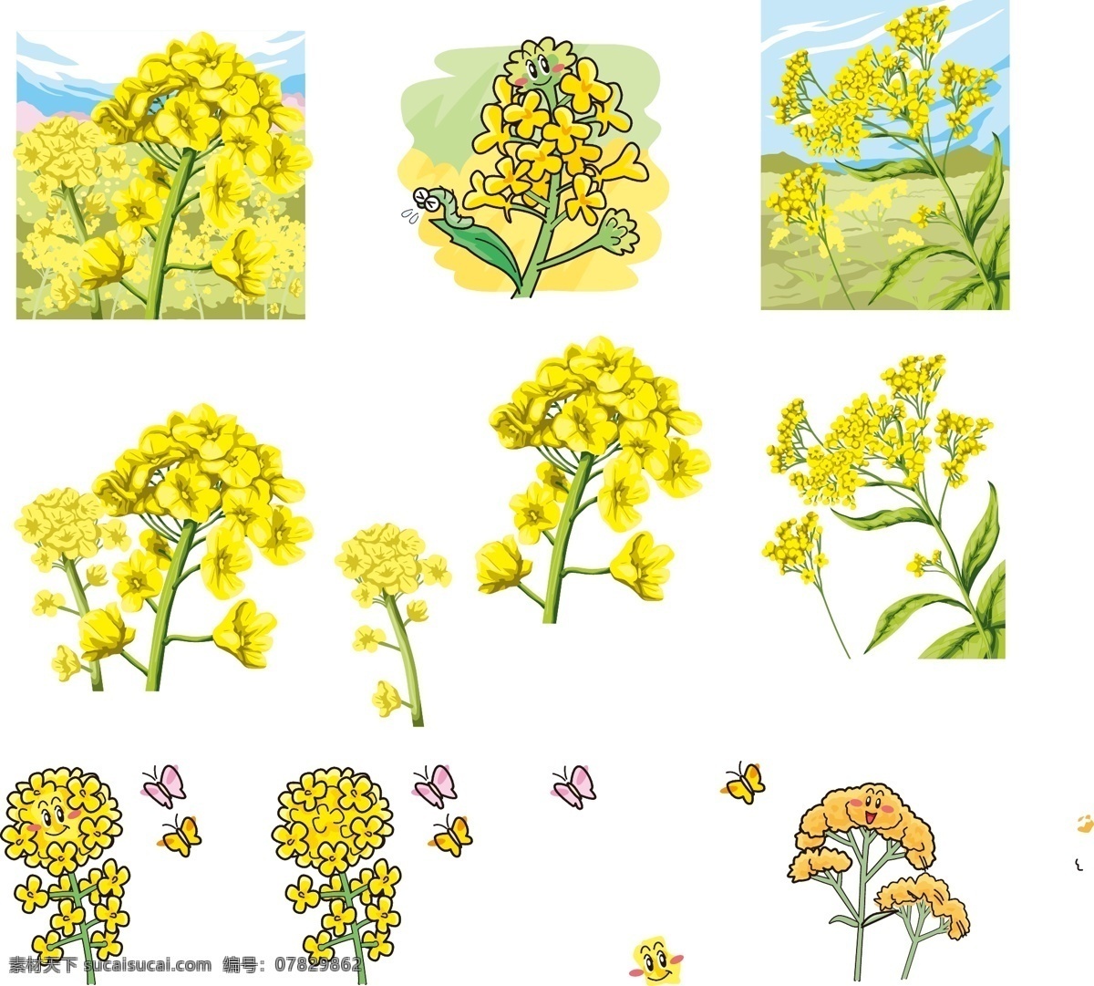 迎春花 花朵 花 小黄花 春天景色 矢量迎春花 迎春花素材 手绘迎春花 黄色花朵
