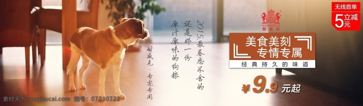 海报 狗粮 当当网 美食 轮播 9 分层 白色