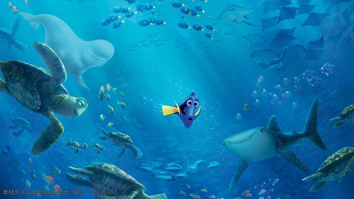 海底世界 手绘 大海 海底总动员2 寻找多莉 多利 蓝藻鱼 鲸鱼 白鲸 皮克斯 迪士尼 动画电影 动画素材 pixar 动漫动画 动漫人物 文化艺术 影视娱乐