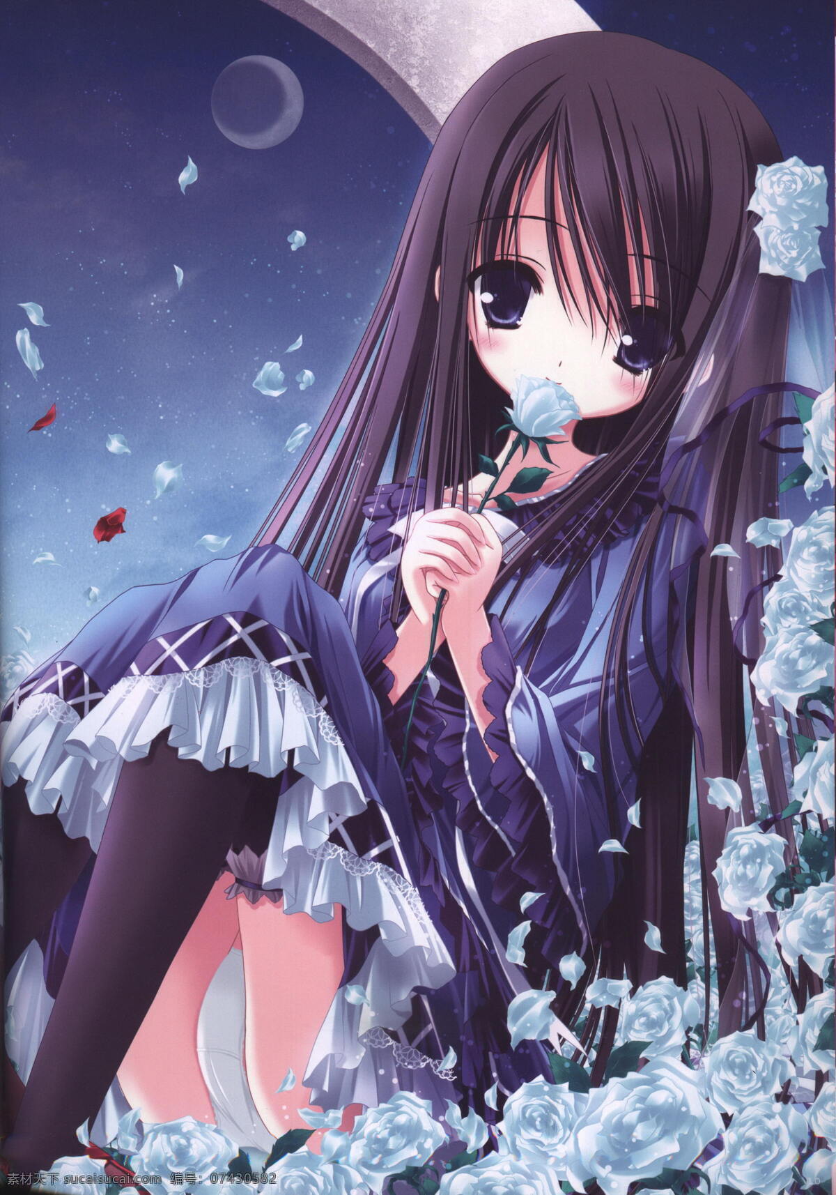蓝 玫瑰 女孩 黑发 少女 夜空 蕾丝裙 卡通 动漫 可爱