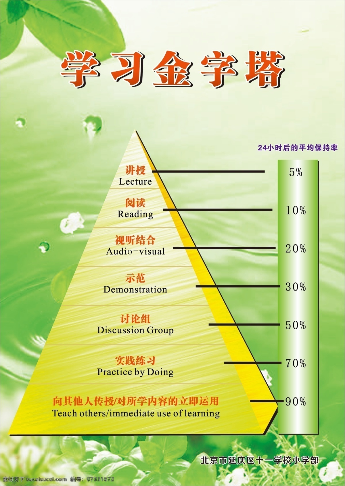 学习金字塔 学习 金字塔 绿色 制度 知识