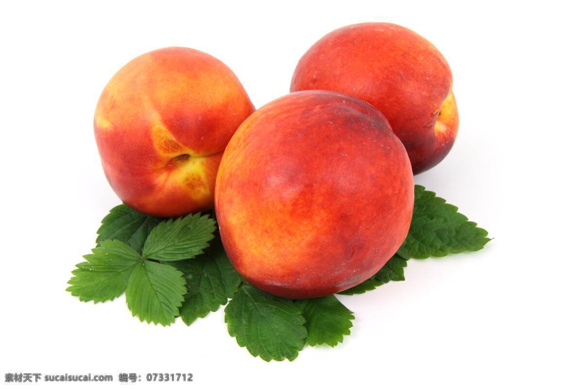 桃子 水蜜桃 水果 果 食物 新鲜 生物世界