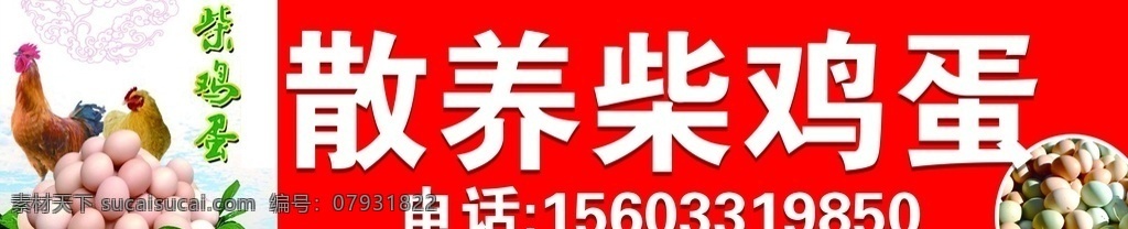 柴鸡蛋 广告牌 鸡蛋 农村柴鸡蛋 农村土鸡蛋 农家鸡蛋 标志图标 公共标识标志