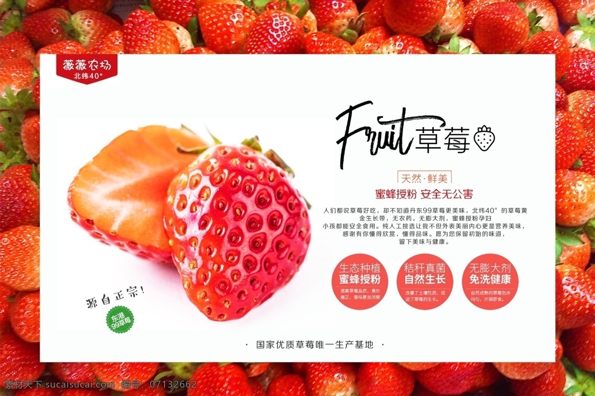 丹东 东港 99 草莓 包装 图 丹东草莓 东港草莓 99草莓 久久草莓 包装盒 草莓海报