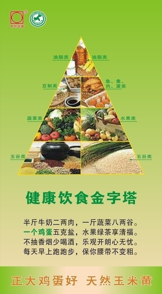 健康饮食 金字塔 矢量