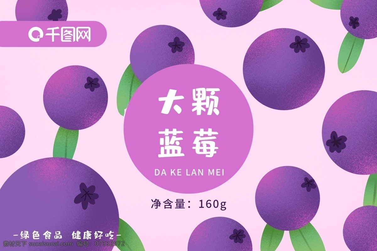大 颗 蓝莓 插画 绘画 包装盒 水果干 食品包装 插画绘画 绿色食品 健康 食物 零食 可爱 天然 小清新