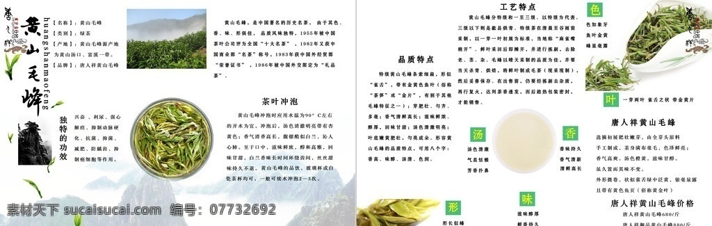 黄山毛峰 茶叶册子 书籍装帧 书籍内页 书面设计 版面设计 画册设计 广告设计模板 源文件
