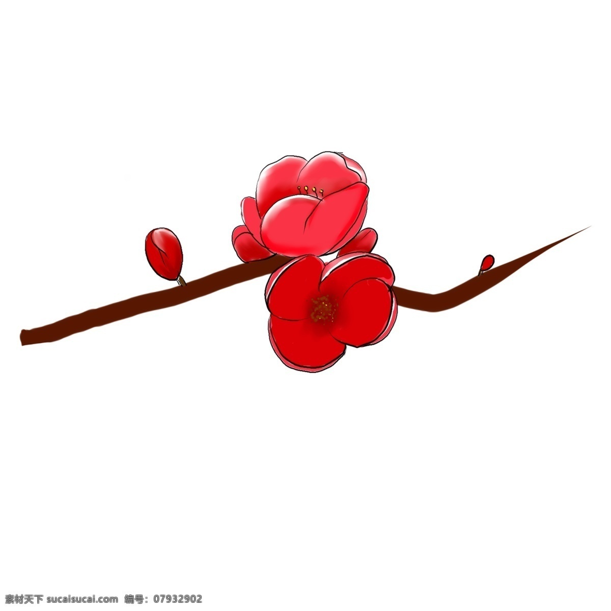 开花 红色 海棠花 免扣图 树枝 一枝 手绘花朵 深红色 开放的 花苞朵 美丽的 原创手绘
