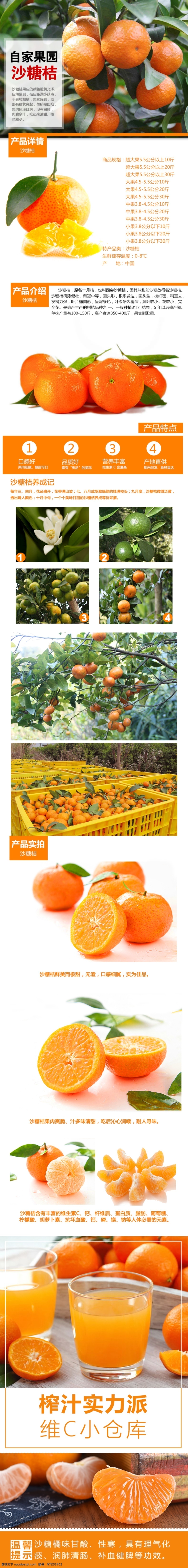 电商 淘宝 沙糖 桔 详情 页 详情页 橙色 桔子 营养 沙糖桔详情页 沙糖桔 水果 多汁