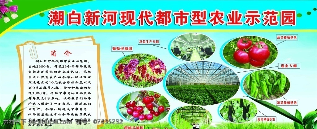 生态牧场 生态养殖 养殖广告 农场广告 牧场海报 草原牧场 天然牧场 绿色养殖 天然养殖 养殖场海报 养殖基地 养殖画册 农场 牧场画册 农业画册 养殖场画册 农场养殖 养殖业 畜牧业 天然农村 养殖 农民 现代养殖 养殖技术 田园 农田 田野 农庄 山庄 饲料广告 肉牛养殖场 农业田园 农田田野