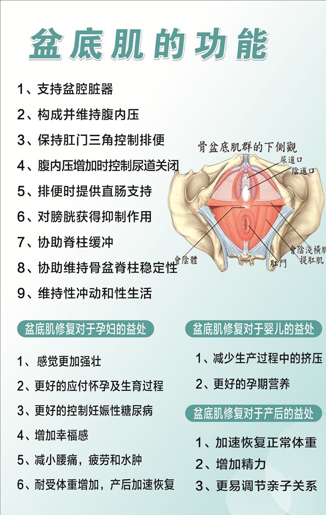 小儿药浴 药浴 产后修复 产后恢复 私密 私密一指爱 小儿推拿 美容 美容美体 产后 满月发汗 骨盆修复 盆底肌修复 疏通 产后必做