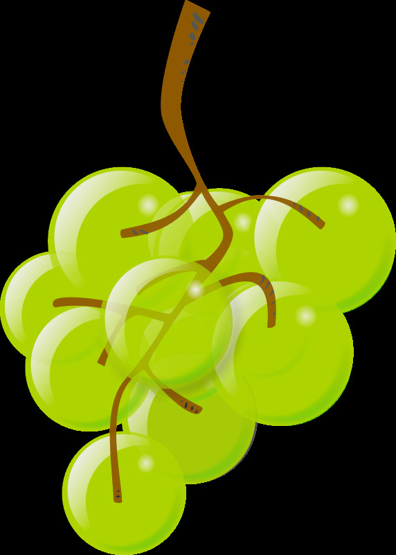 绿 葡萄 食品 水果 透明度 插画集