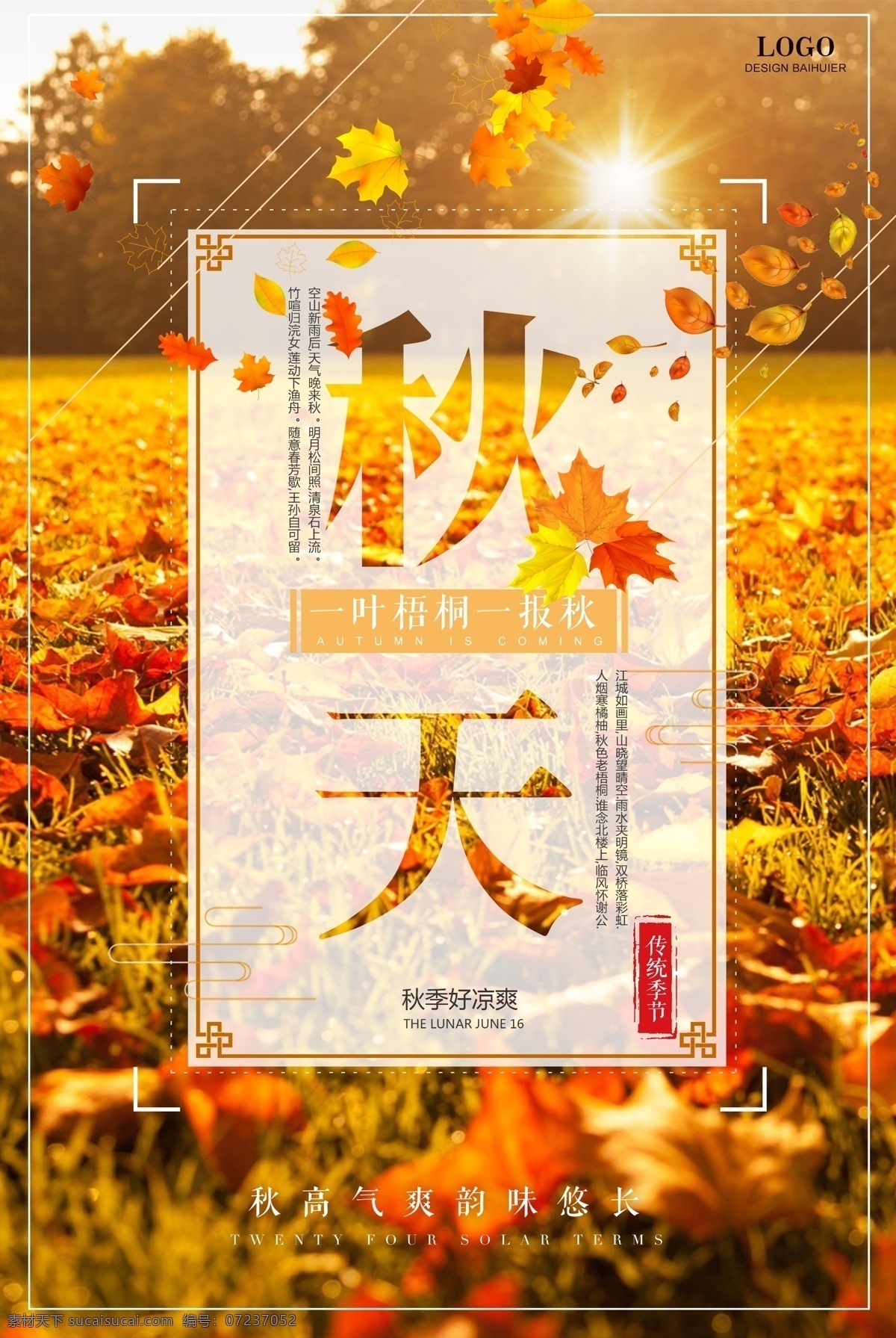 秋天 秋季 秋分 促销 模板 唯美 树叶 中秋 秋天海报 节气海报 你好八月 九月 24节气 秋天促销 清新海报 创意字体 立秋节气 文艺小清新 二十四节气 立秋 阳光 落叶 红叶 枫叶 设计模板 秋天模板 秋天秋季 秋季秋天