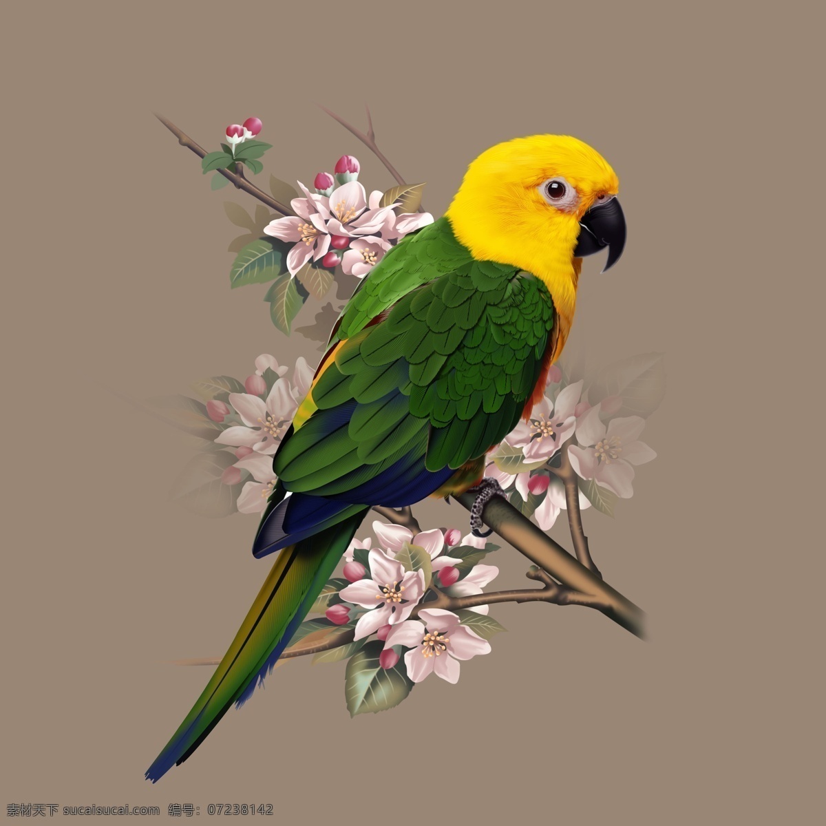 彩色 鹦鹉 高清 工笔 花朵 黄色 绿色 鸟