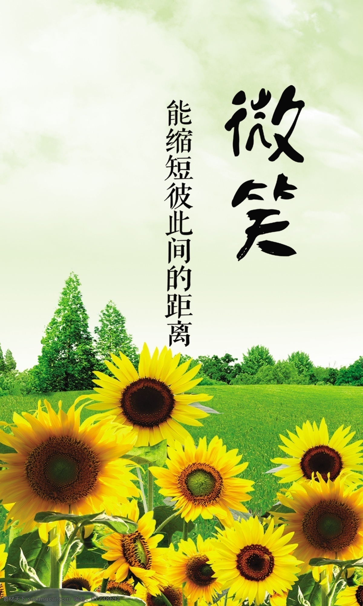 校园文化 学校展板 格言 微笑 向日葵 psd分层 广告设计模板 源文件