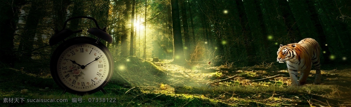 清新 森林 系 banner 背景 场景背景 大屏幕背景 动感视频 绿色背景 清新背景 森林背景 素 植物背景