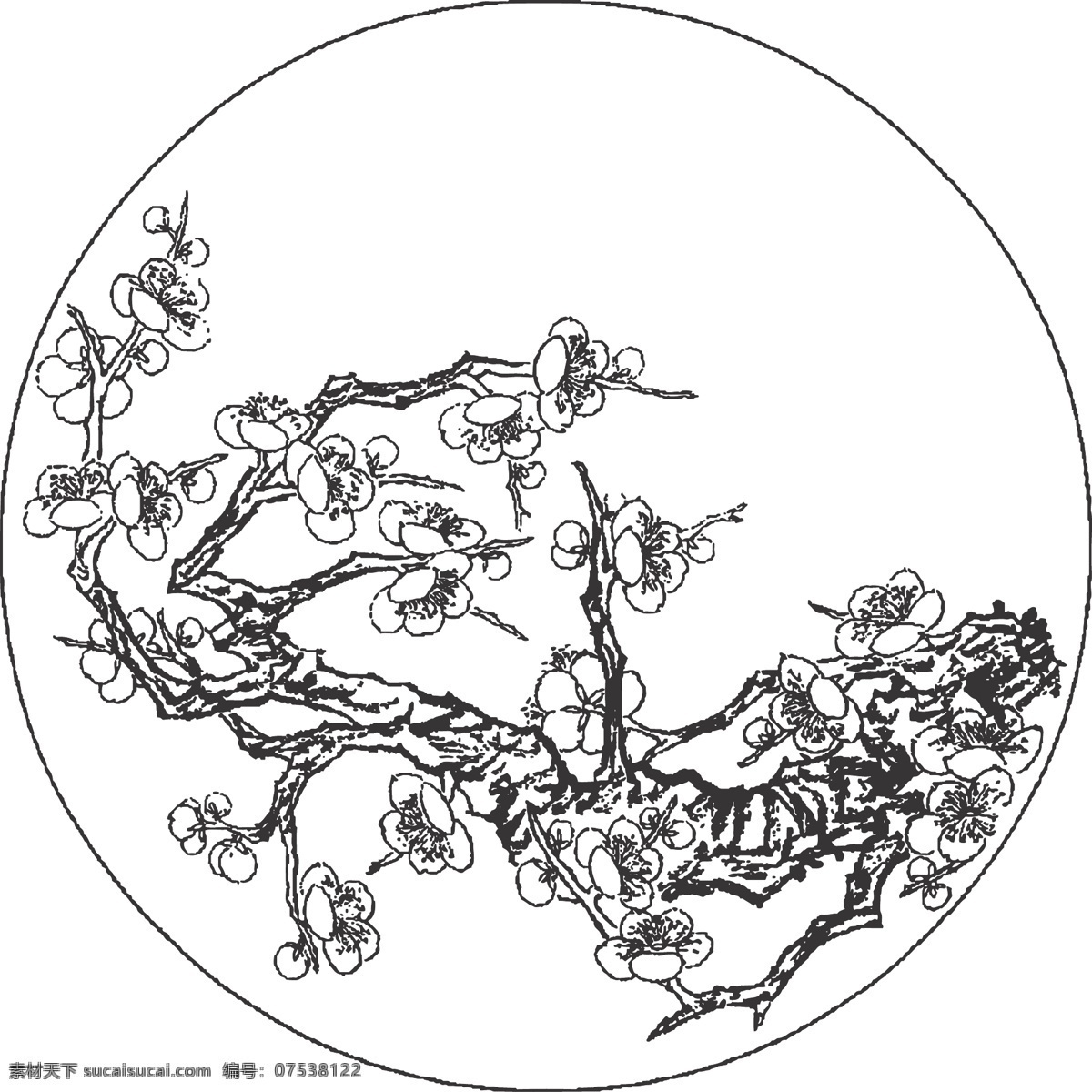 梅花 国画艺术 冬春季开花 止咳 止泻 生津 止渴 高洁 坚强 谦虚 立志奋发 喜暖 耐寒 怕积水 植物 花卉 线条 矢量 插画 白描 花卉白描图 生物世界 花草