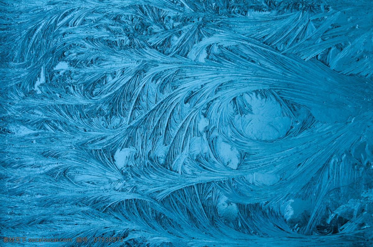 纹理背景画面 纹理 背景蓝色 冰封 冰 雪花 雪 柳条 弯曲 时尚 照片 自然景观 自然风景