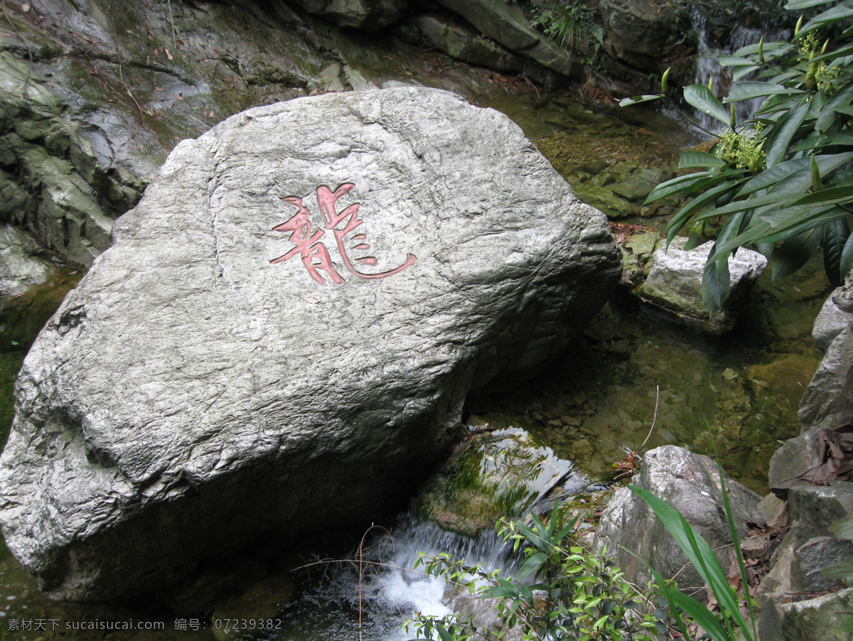 龙免费下载 湖水 龙 龙字 绿色植物 水中倒影 石头上的龙字 风景 生活 旅游餐饮