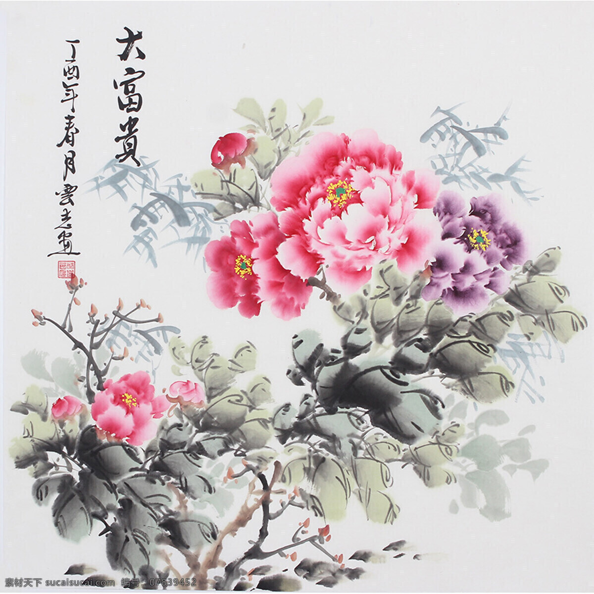 水墨牡丹 工笔 花卉 花鸟 国画 牡丹 工笔花卉 文化艺术 绘画书法