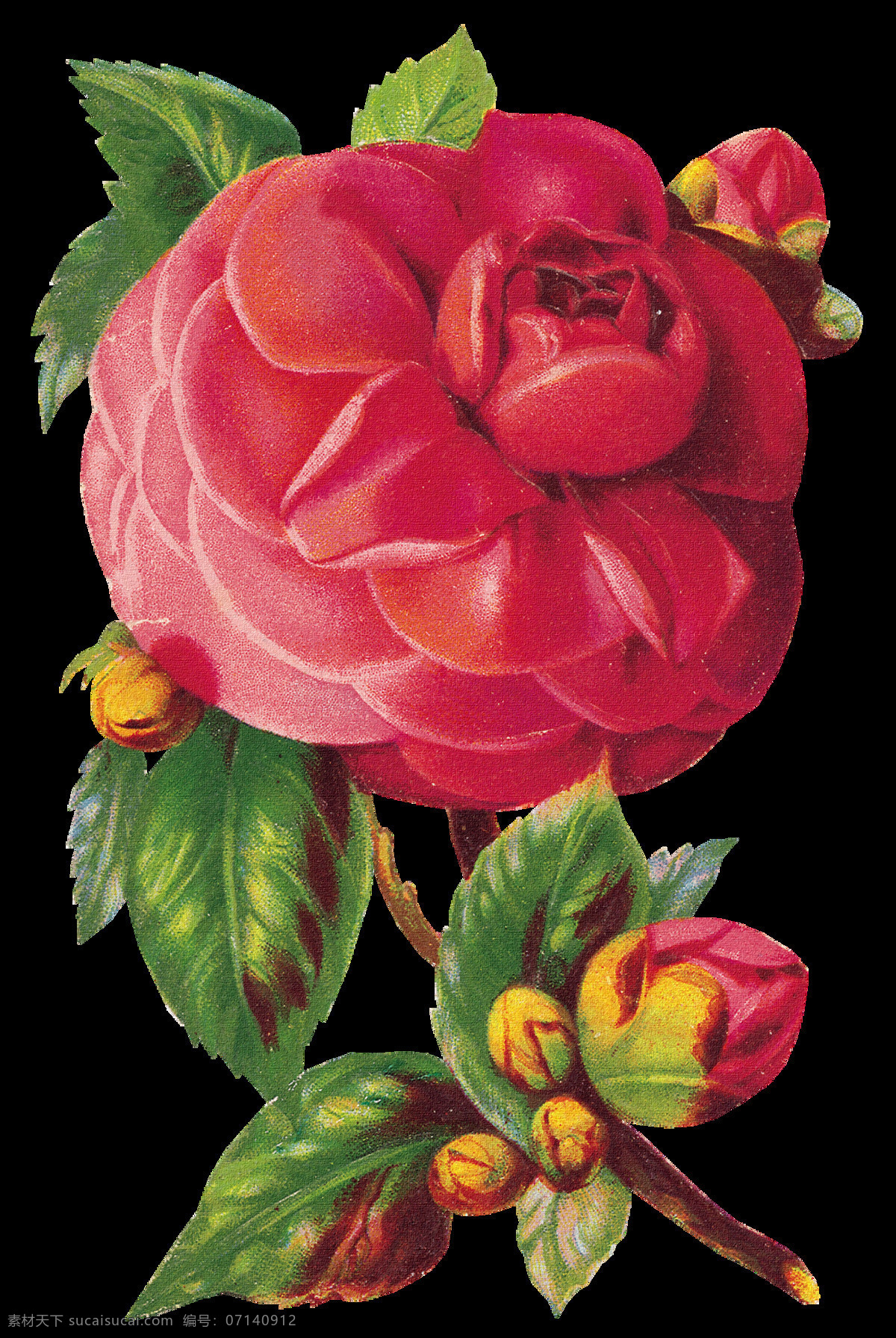复古花朵 复古 花朵 设计素材 模板下载 手绘花朵 静物花卉 绘画花朵 绘画书法 文化艺术 花朵素材