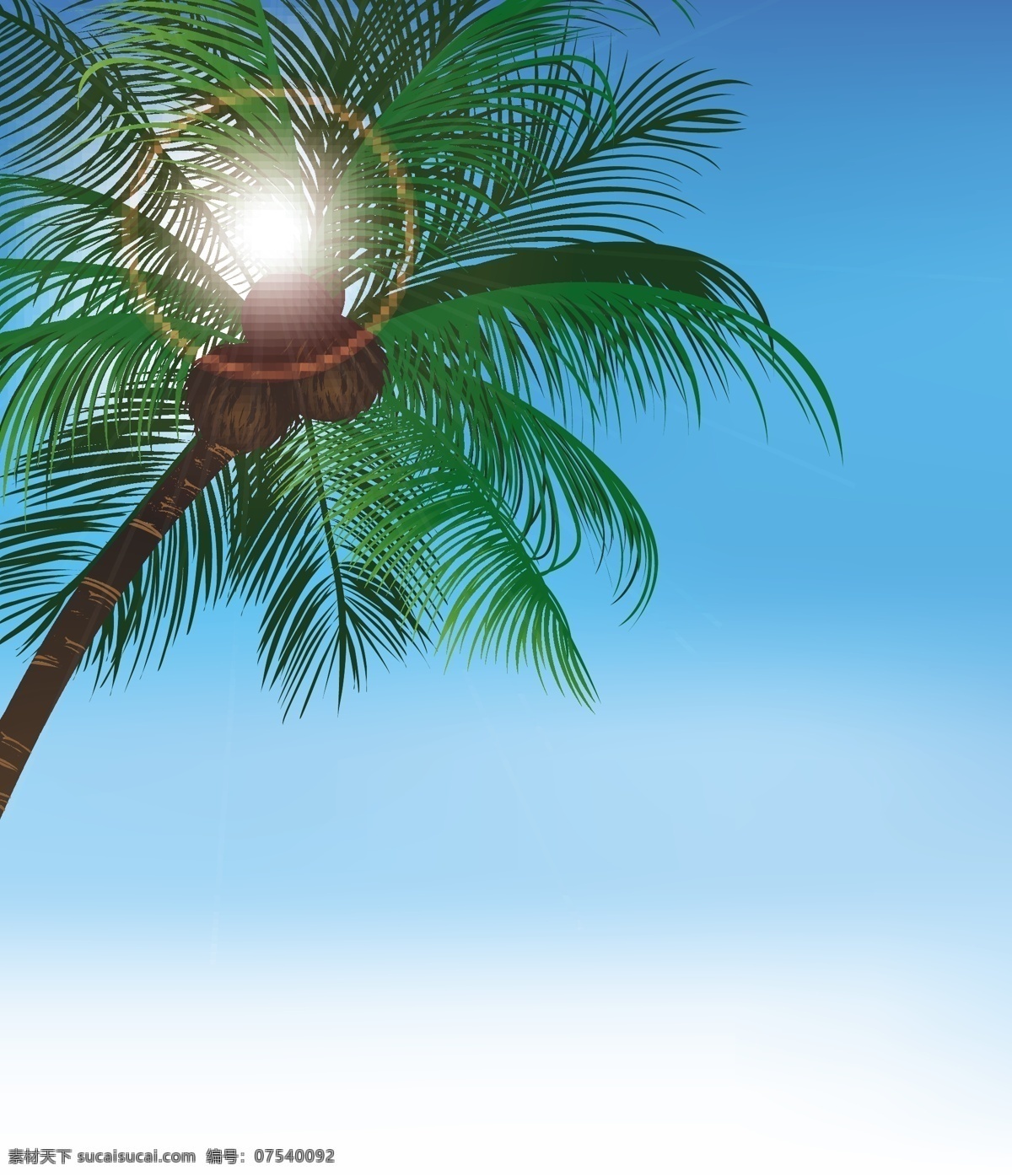 椰子 树上 椰果 矢量 椰子树 绿叶 椰子果 果实 蓝天 矢量素材 自然风光 空间环境 青色 天蓝色