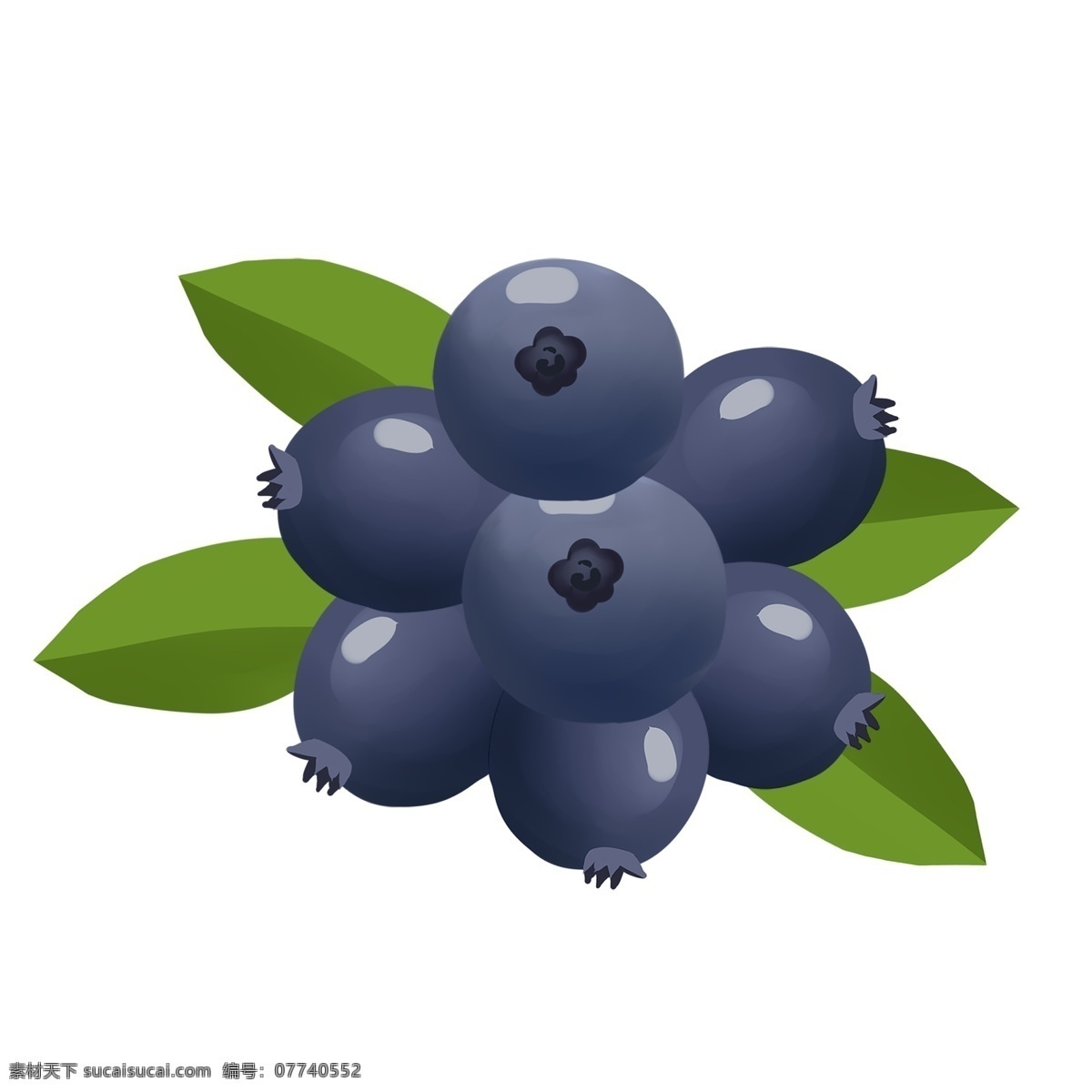 手绘 夏季 自然 清新 水果 蓝莓 免 抠 免抠png 夏季元素