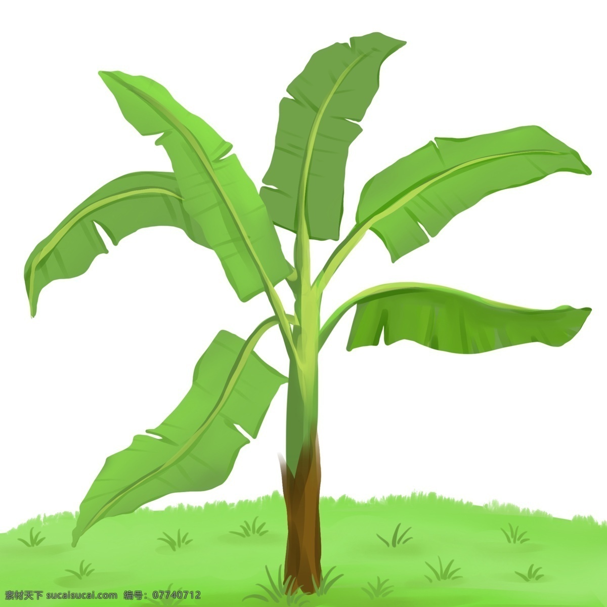 植物 香蕉 树 热带 香蕉树 南方植物 热带植物 大叶植物 透明底 免抠 海报装饰 原创