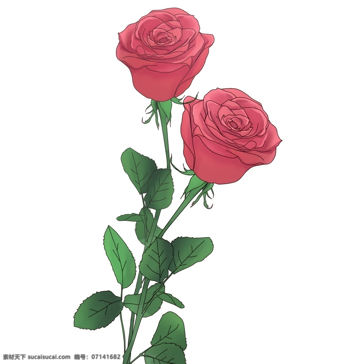 手绘 唯美 玫瑰花 元素 粉红色 紫色丝带 花卉 花朵 粉色 母亲节 淘宝 天猫 电商 卡通手绘 装饰图案 节日花朵