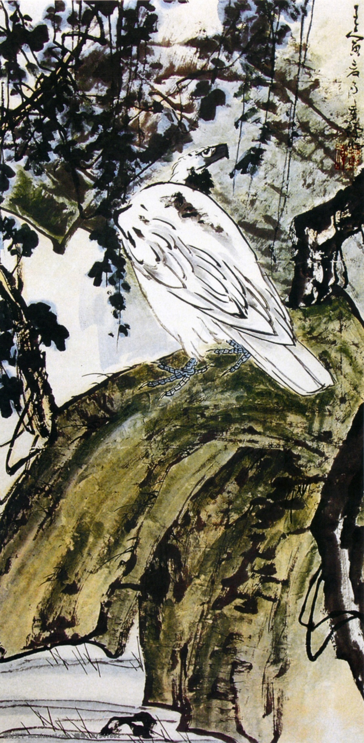 碧崖白鹰 李苦禅 大师 国画 绘画 书法 文化艺术 作品