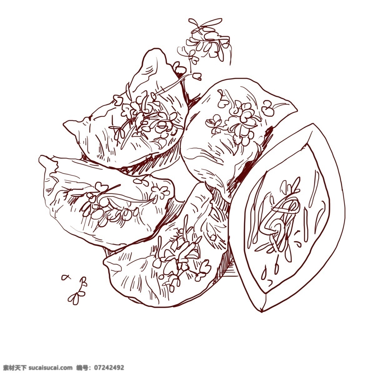 线描 美食 饺子 插画 美味的饺子 新年的饺子 春节的饺子 卡通插画 手绘美食插画 线描食物插画