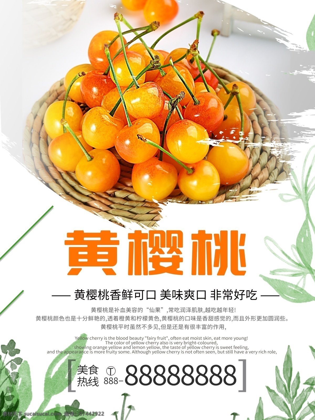 黄樱桃 红樱桃 白樱桃 水果 健康 浆果 背景 大樱桃 非洲樱桃 新鲜水果 樱桃 山东大樱桃