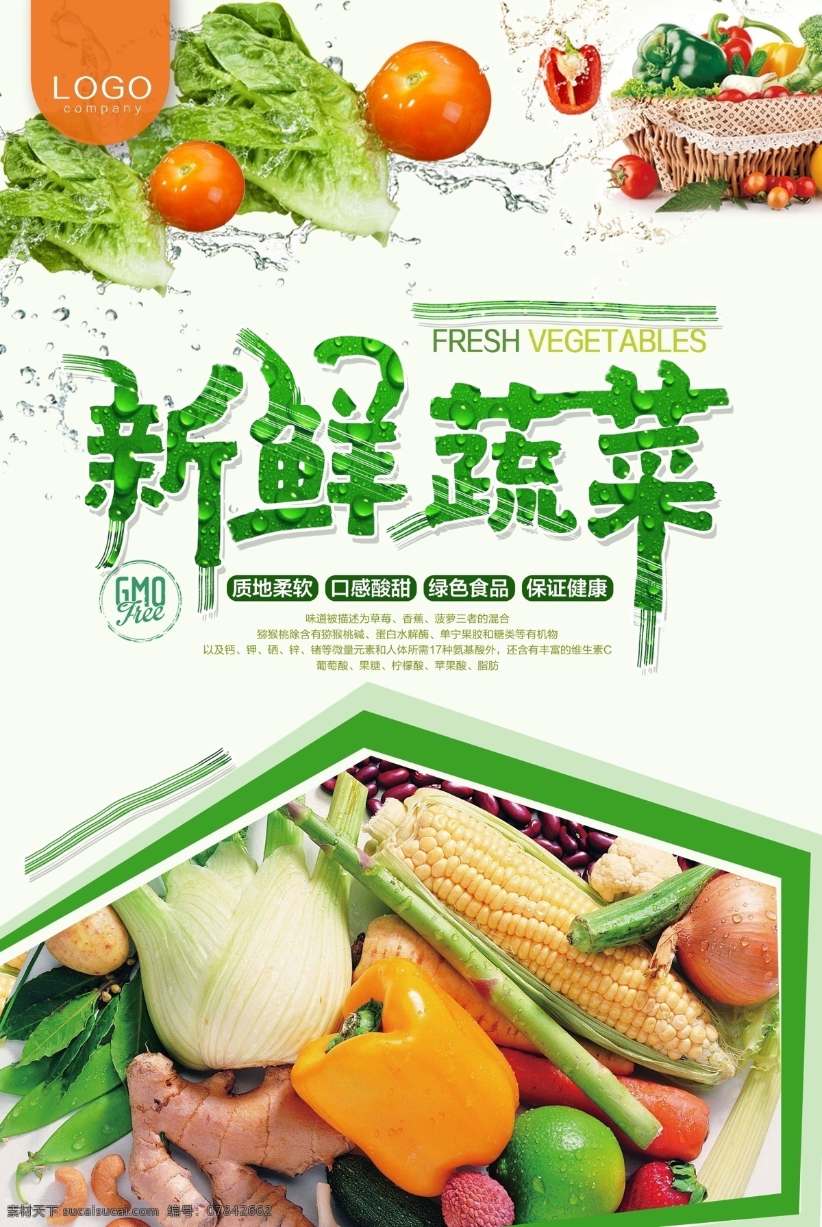 新鲜蔬菜 蔬菜 蔬菜展板 蔬菜海报 蔬菜文化 蔬菜素材 蔬菜挂画 蔬菜饮食 蔬菜营养 蔬菜超市 蔬菜市场 蔬菜广告 绿色蔬菜 蔬菜模板 蔬菜图片