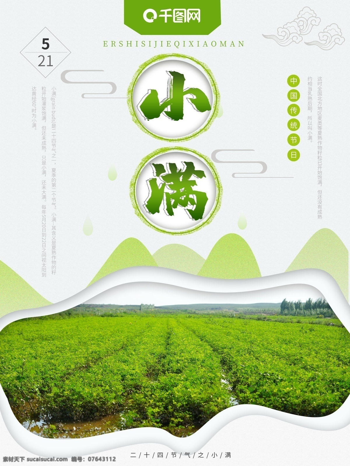 小清 新中国 风 背景 小满 海报 中国风 绿色 简约 农作物 节日海报 健康 环保