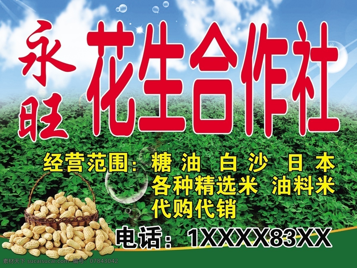 合作社门头 花生 花生苗 蓝天 花生广告等