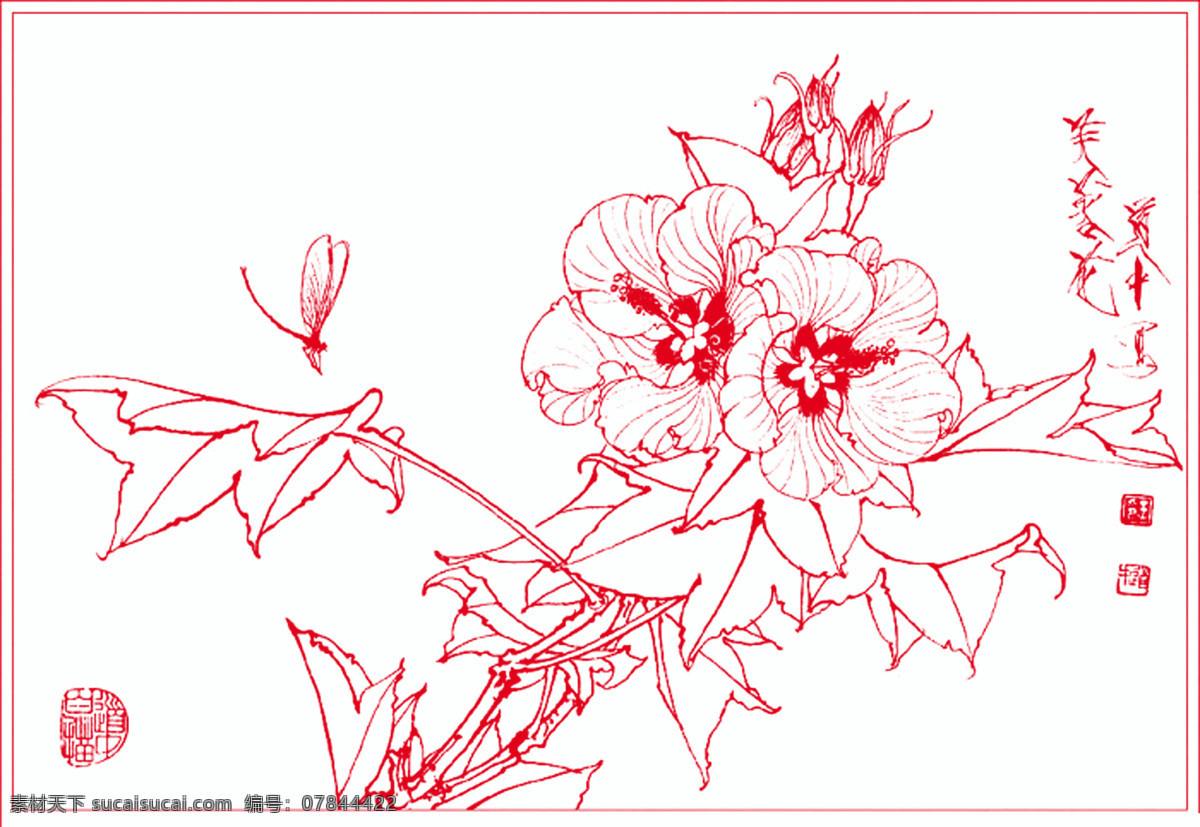 白描 线描 绘画 书画 花草白描 花草线稿 草虫 花草 蜻蜓 绘画书法 文化艺术