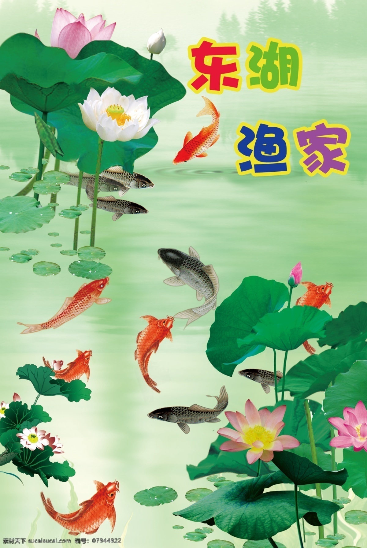 荷花 荷叶 鱼 河水 树 湖水 渔家 东湖渔家 荷花荷叶 荷塘