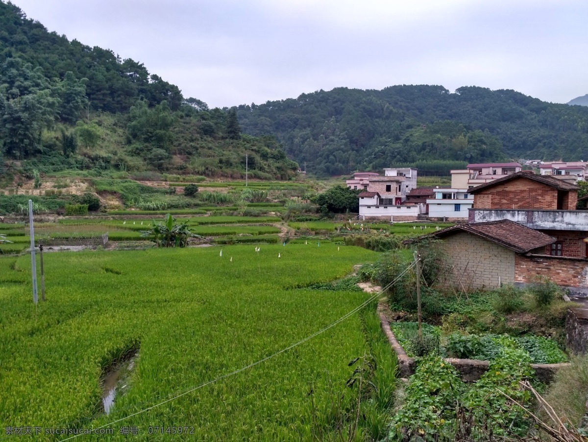 山川的田野 山川 山 山林 田野 田地 田 农田 稻田 自然景观 田园风光