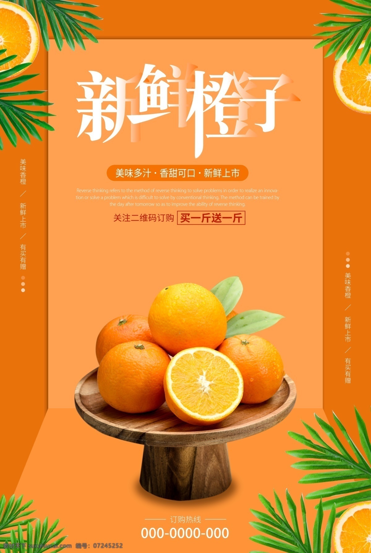 橙子活动 橙子单图 橙 橙柚