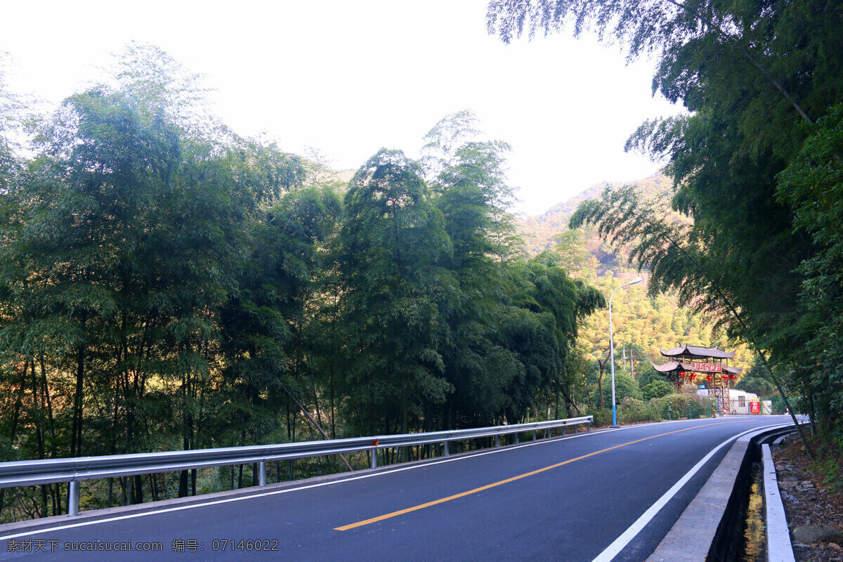 美丽 乡村 公路 竹林 美丽乡村 幽静 乡村风光 自然景观 自然风景